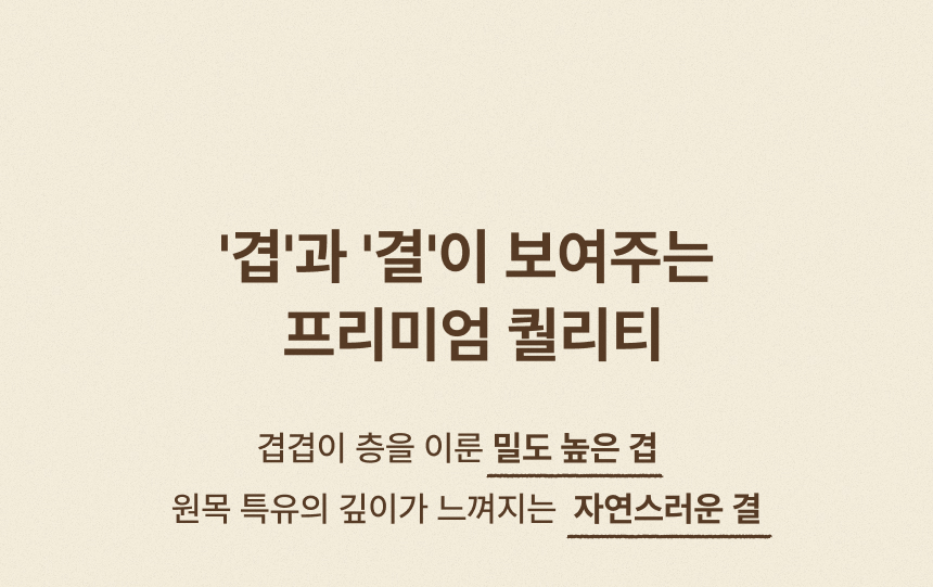 인트로 스토리 공통